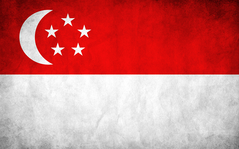 SG Flag